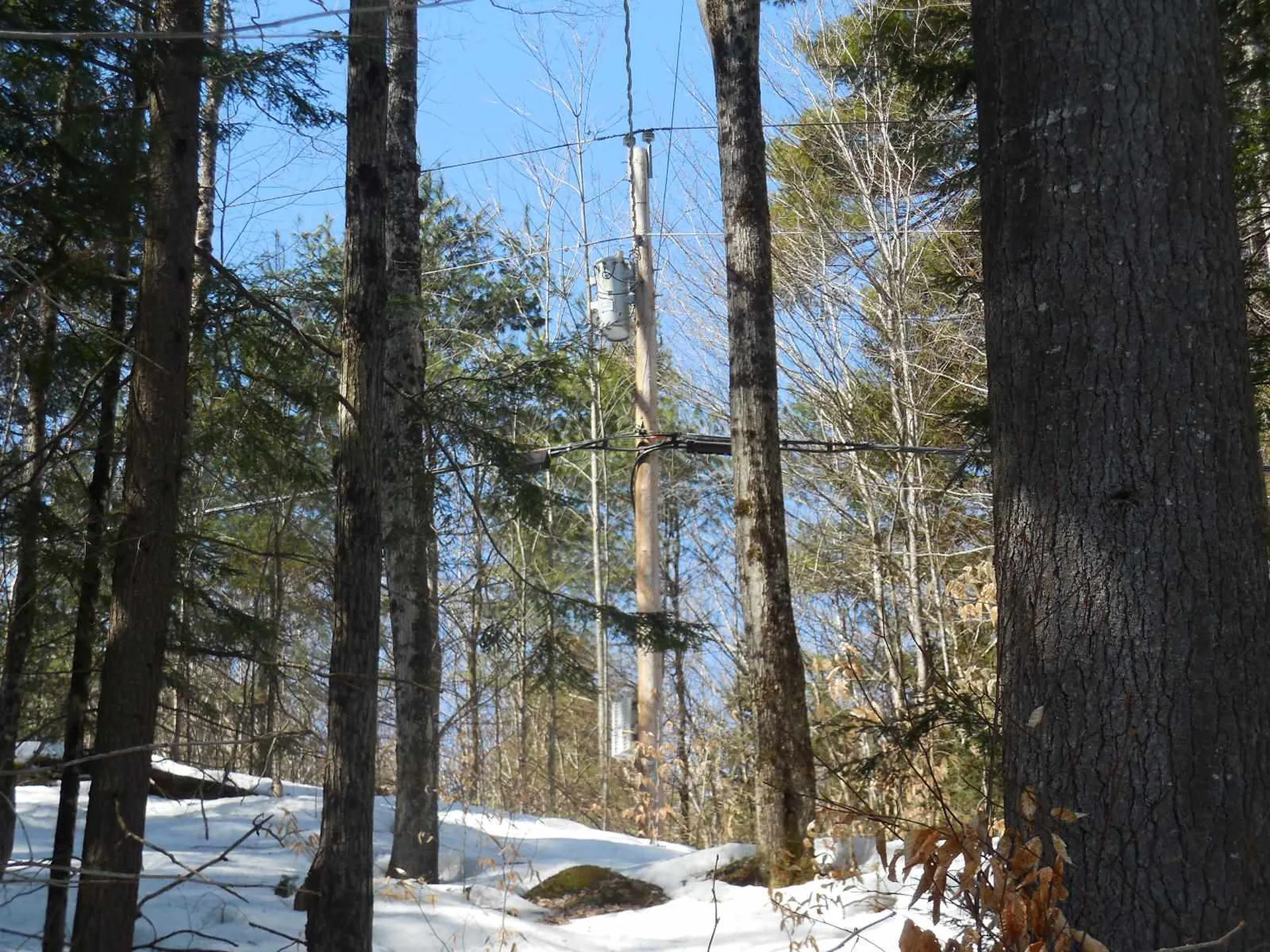 00 Nelson Pond Road Calais VT 05650