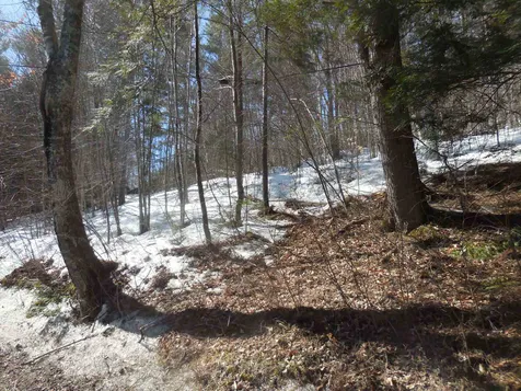 00 Nelson Pond Road Calais VT 05650
