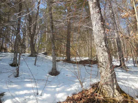 00 Nelson Pond Road Calais VT 05650