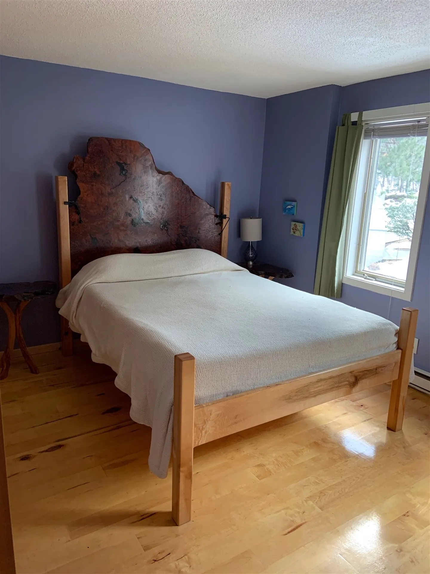 89 Snowside Drive Fayston VT 05673