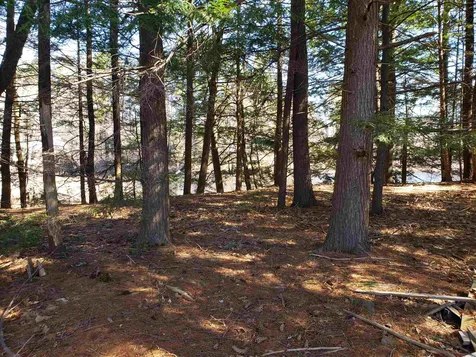 103 Martin Road Deering NH 03244