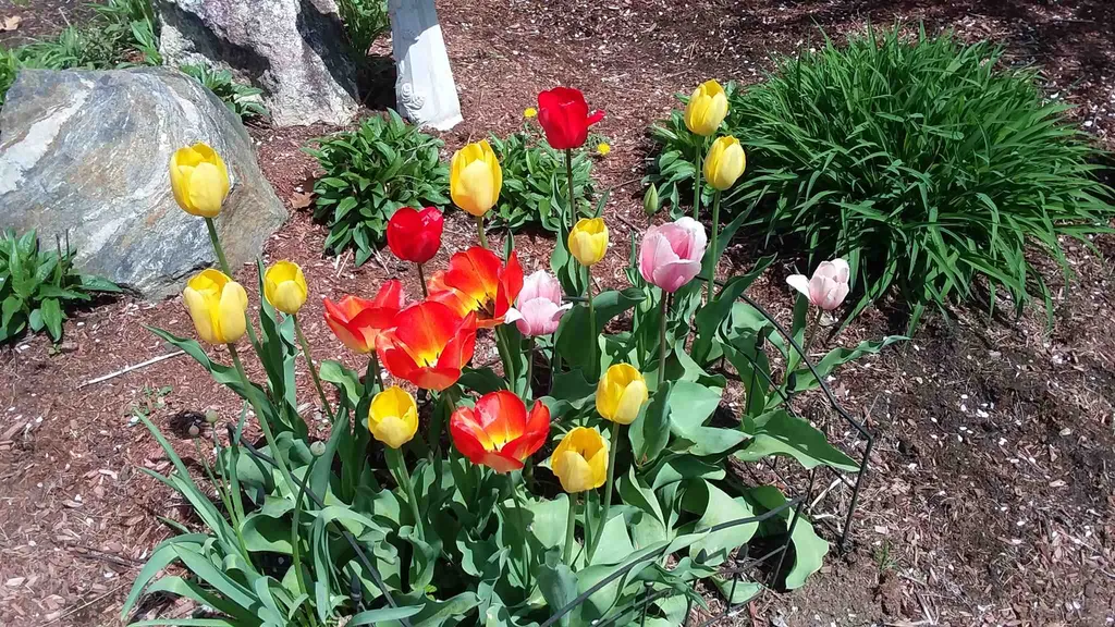 18 Swan Circle Concord NH 03301