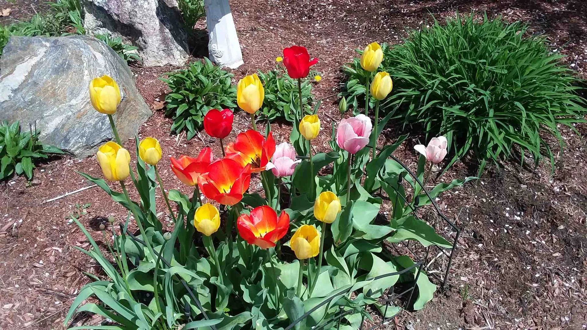 18 Swan Circle Concord NH 03301