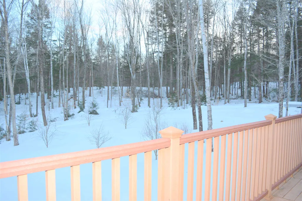 6 Birdie Knob Grantham NH 03753
