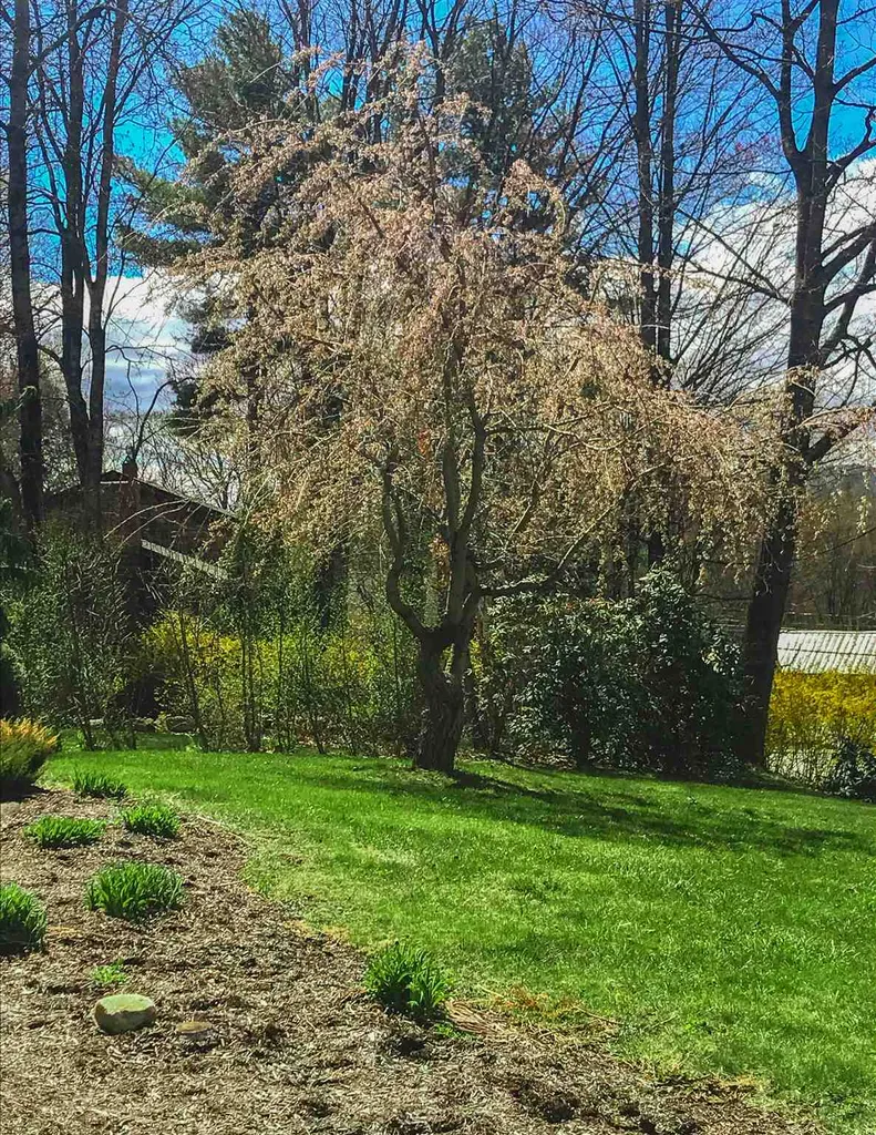 68 Hilltop Drive Keene NH 03431