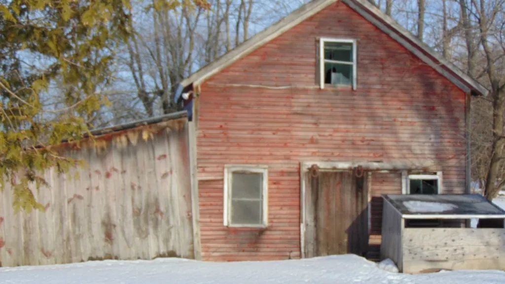 41 South Street South Hero VT 05486