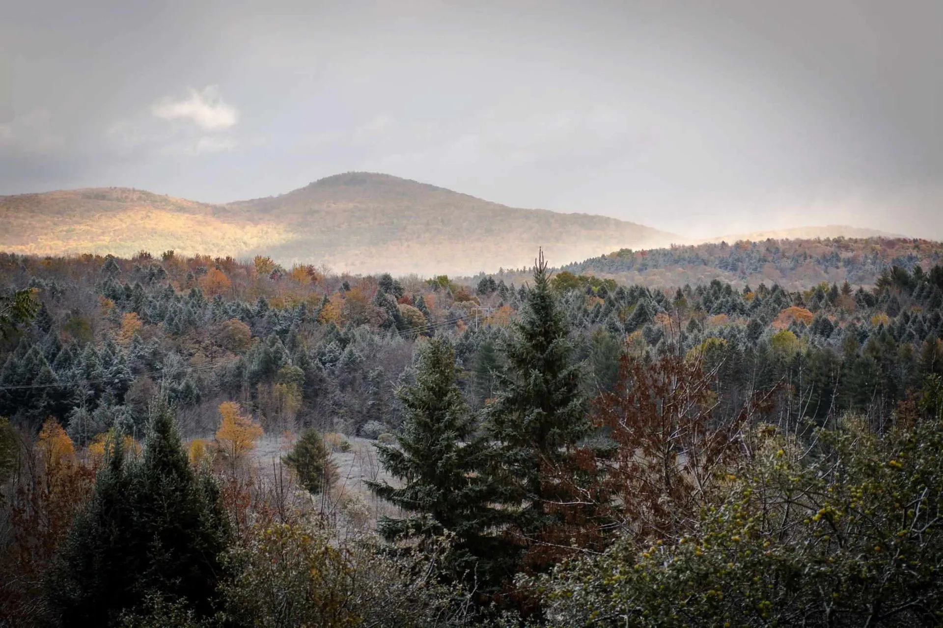 37 Lochmoor Road Fairfax VT 05454
