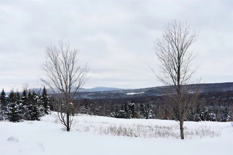 1219 Vt Route 111 Morgan VT 05853