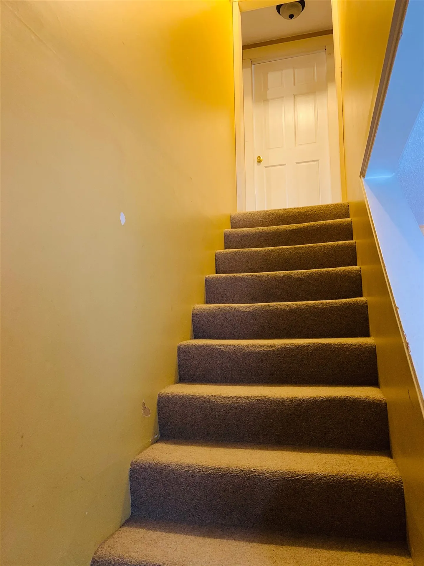 15 Brookwood Drive Ossipee NH 03864