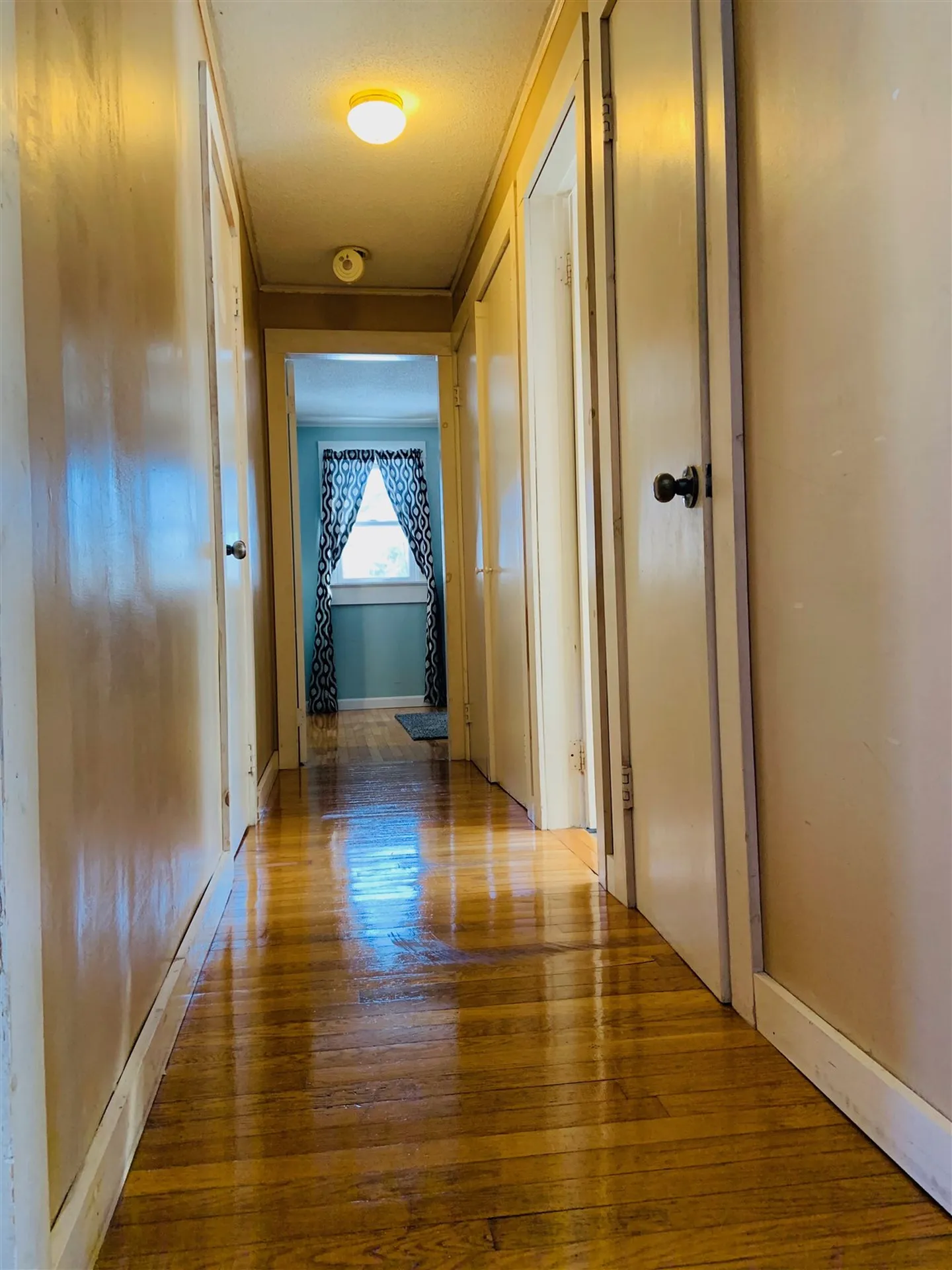 15 Brookwood Drive Ossipee NH 03864