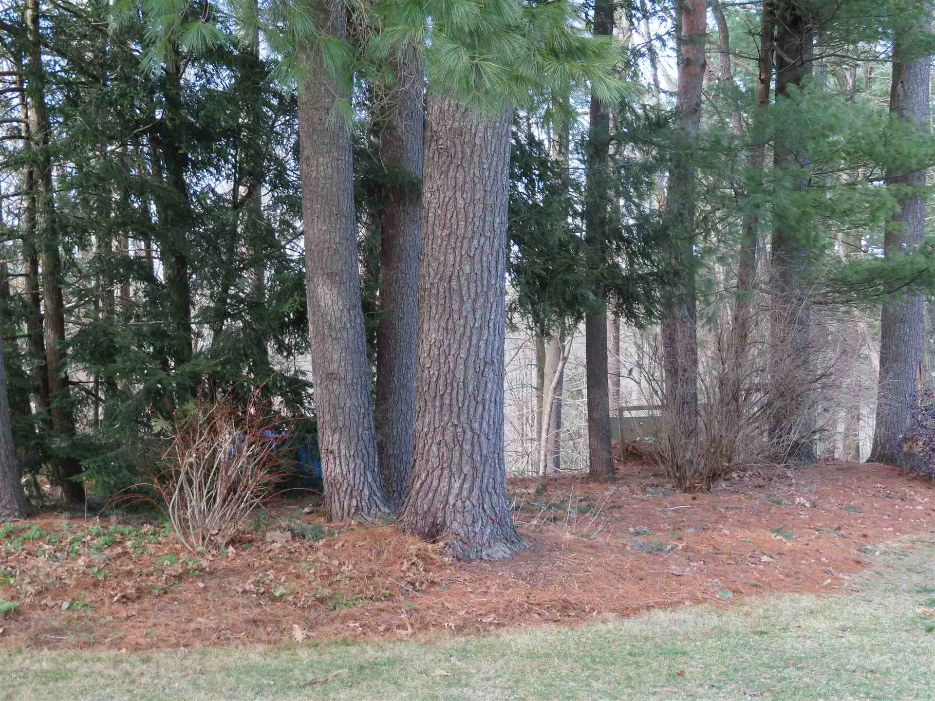 80 North Lincoln Street Keene NH 03431
