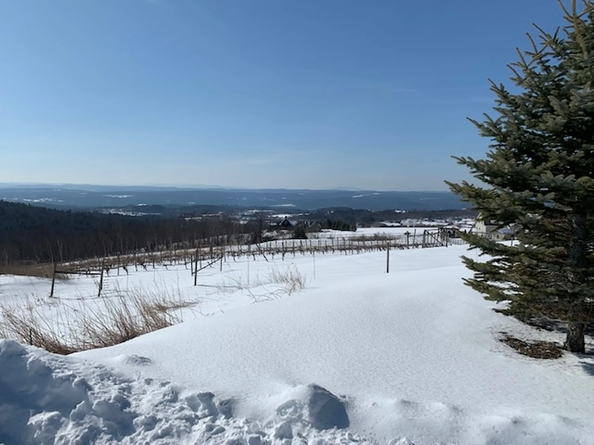 114 Barnett Hill Road Walpole NH 03608