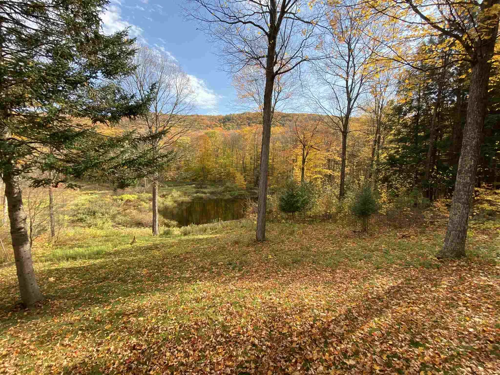 781 Burnham Drive Middlebury VT 05753