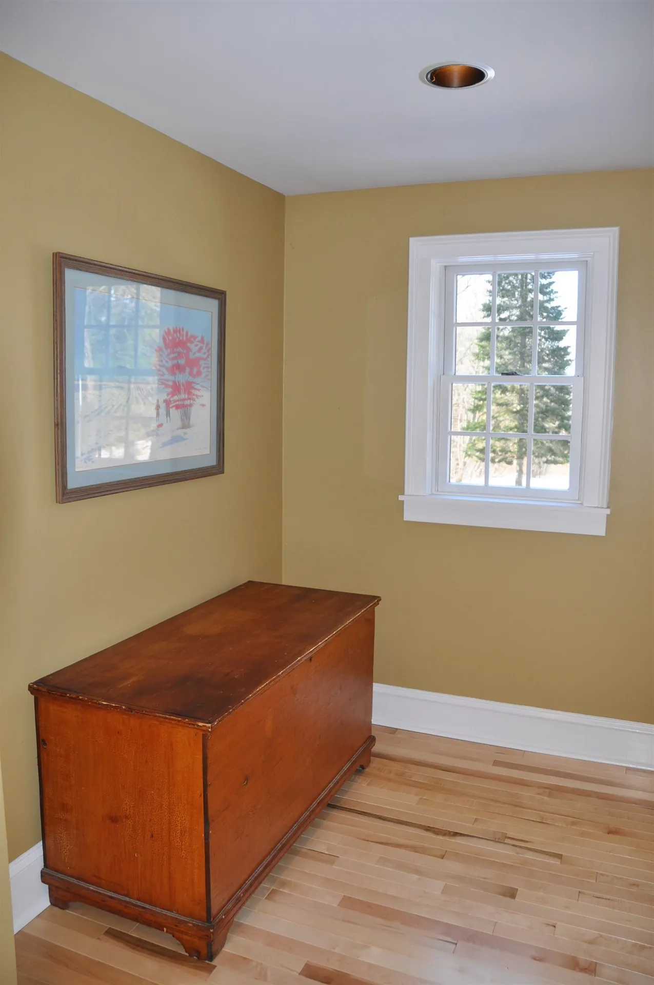 781 Burnham Drive Middlebury VT 05753
