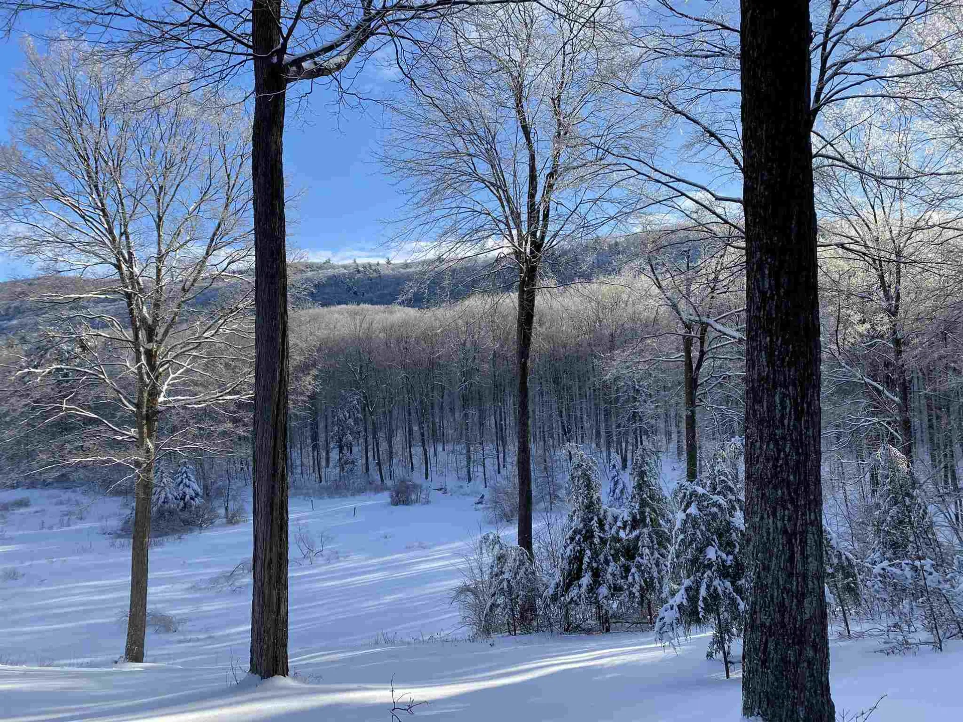 781 Burnham Drive Middlebury VT 05753