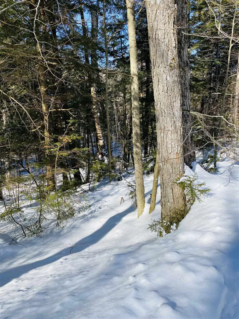 00 Chateauguay Road Barnard VT 05031