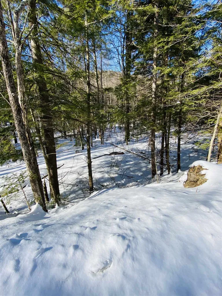 00 Chateauguay Road Barnard VT 05031