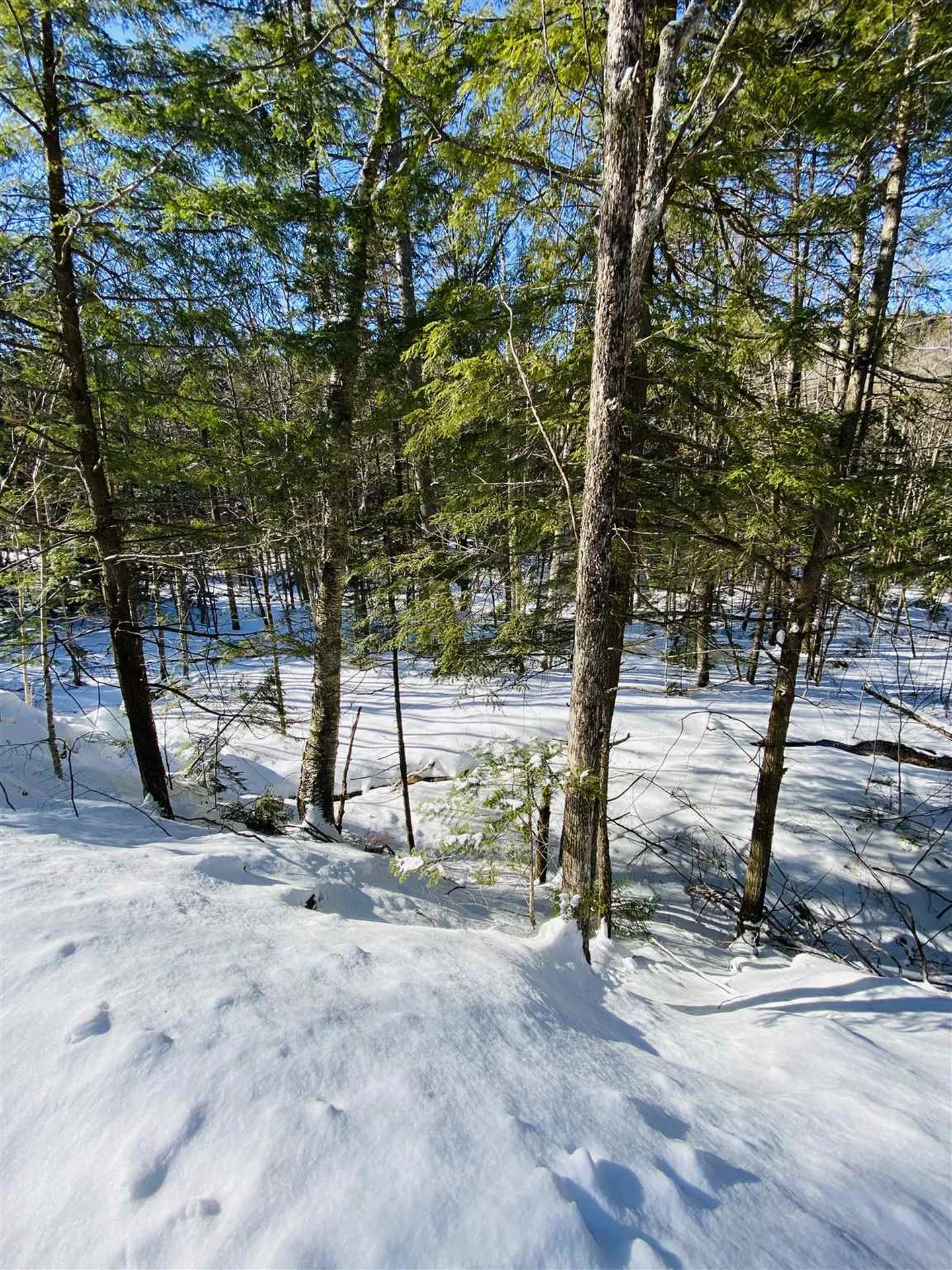 00 Chateauguay Road Barnard VT 05031