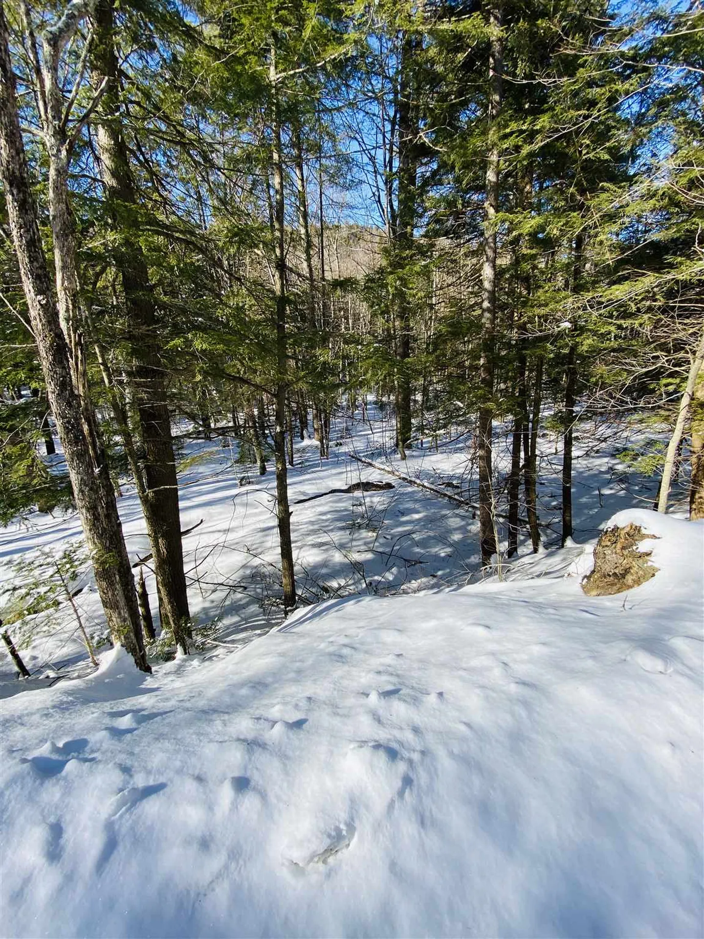 00 Chateauguay Road Barnard VT 05031