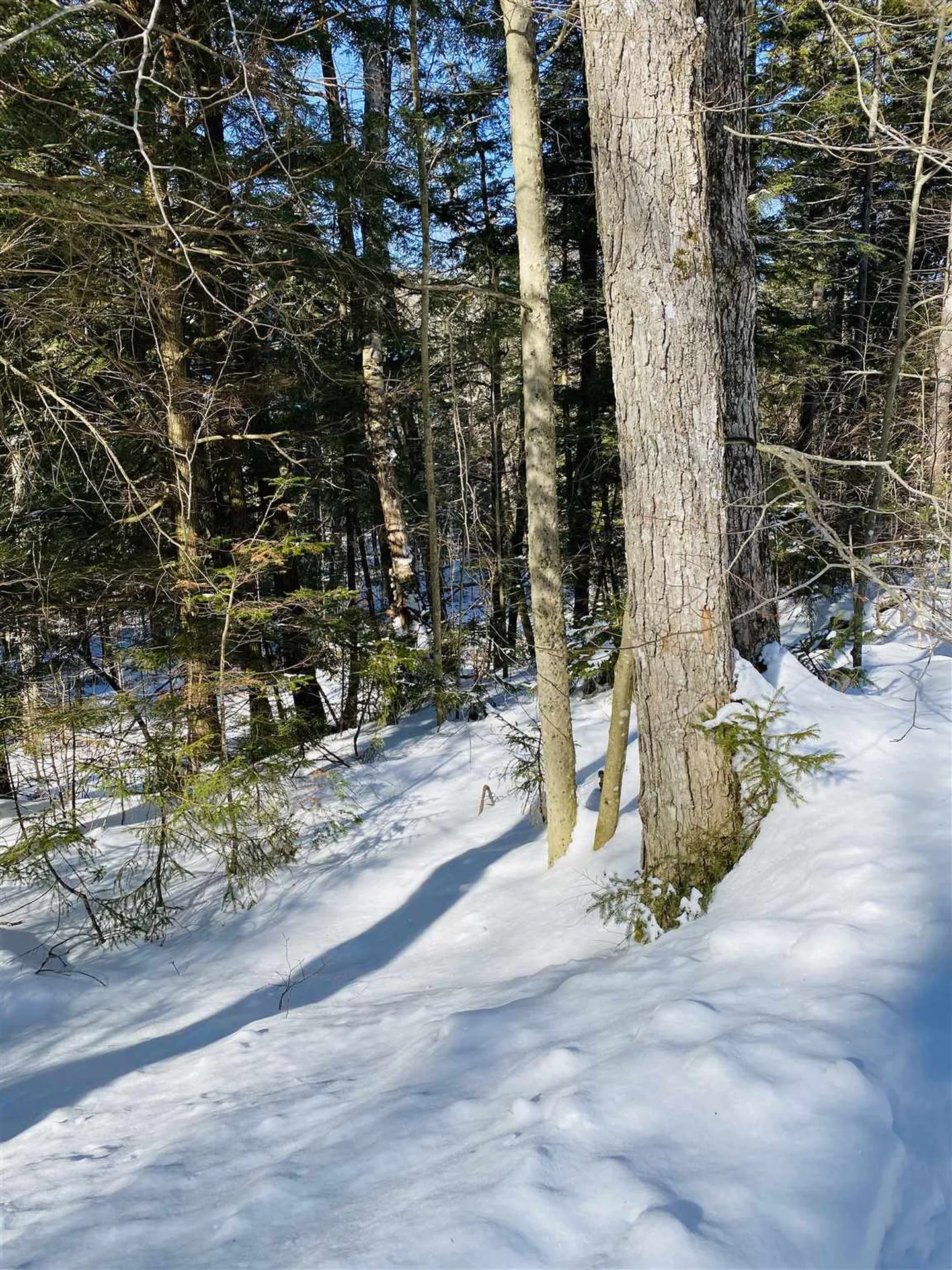 00 Chateauguay Road Barnard VT 05031