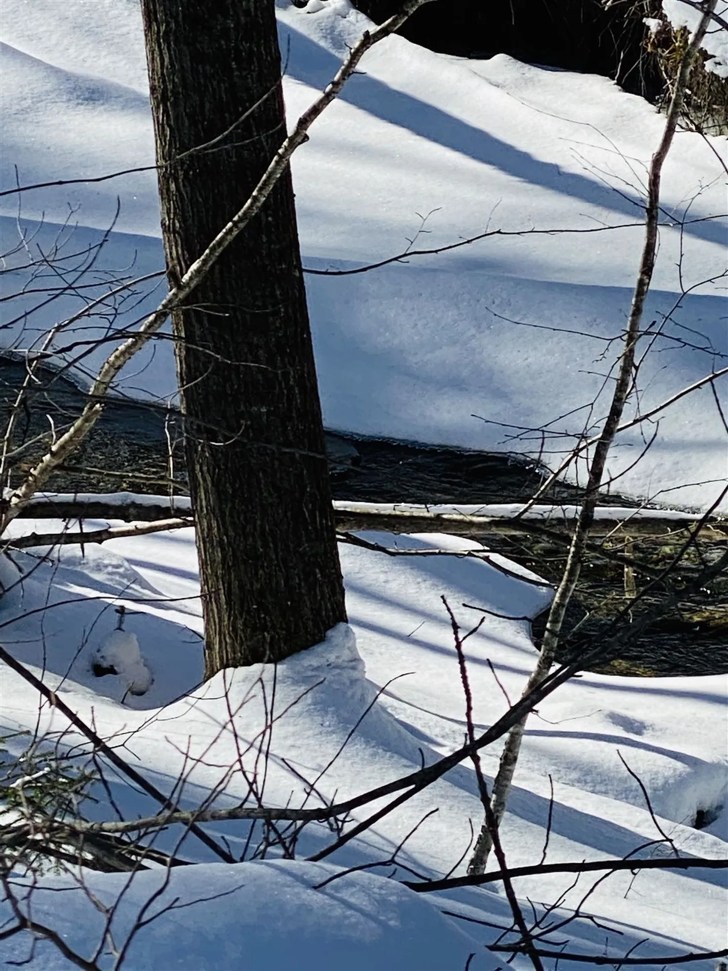 00 Chateauguay Road Barnard VT 05031