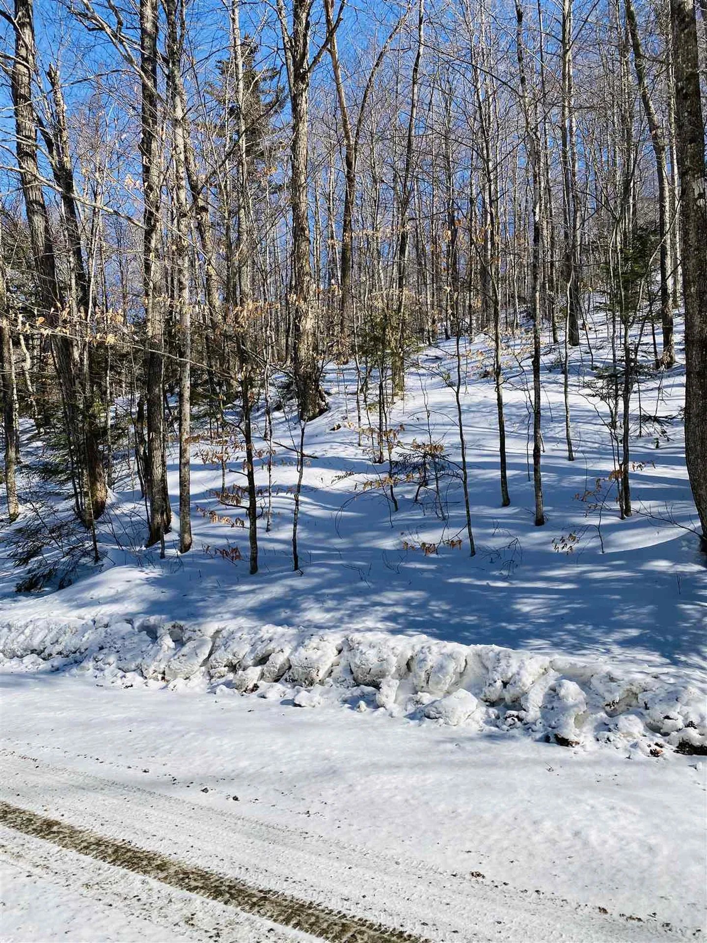 00 Chateauguay Road Barnard VT 05031