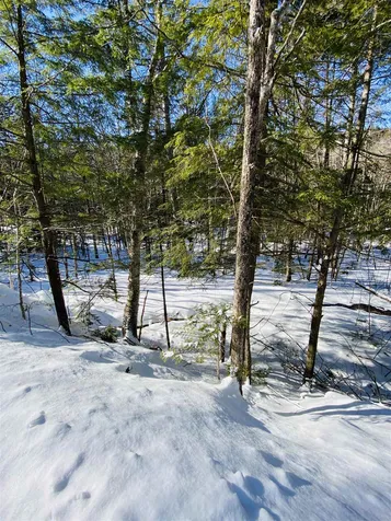 00 Chateauguay Road Barnard VT 05031