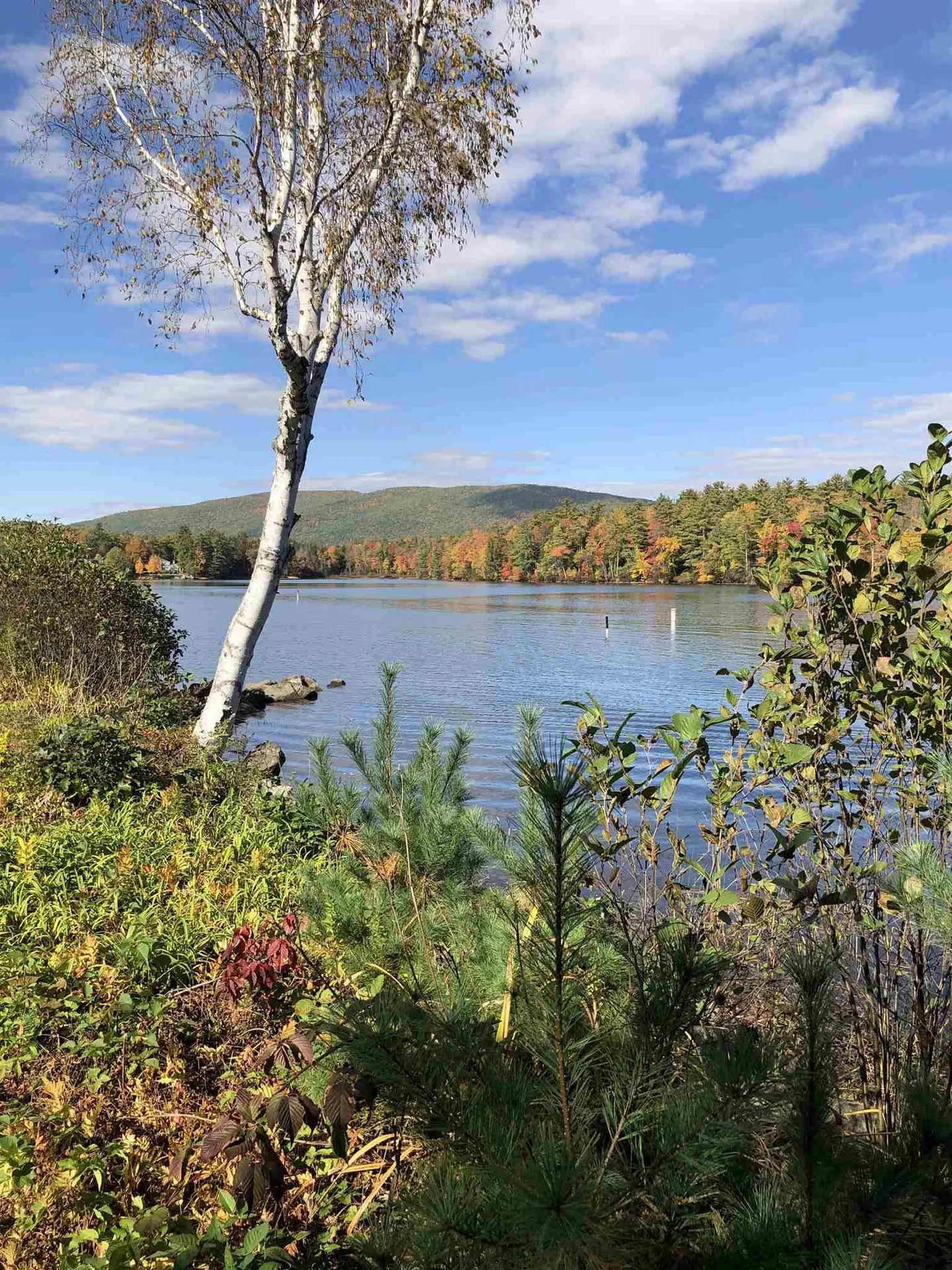 19 Clearwater Point Road Moultonborough NH 03254