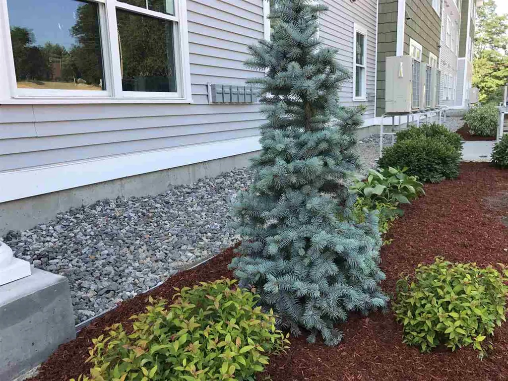 15 East Ridge Drive Milford NH 03055