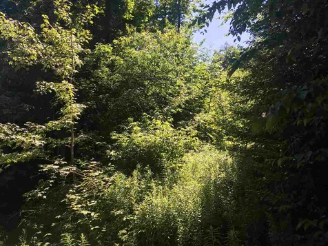 241 Rabbit Run Wilmington VT 05363