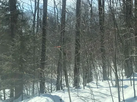 241 Rabbit Run Wilmington VT 05363