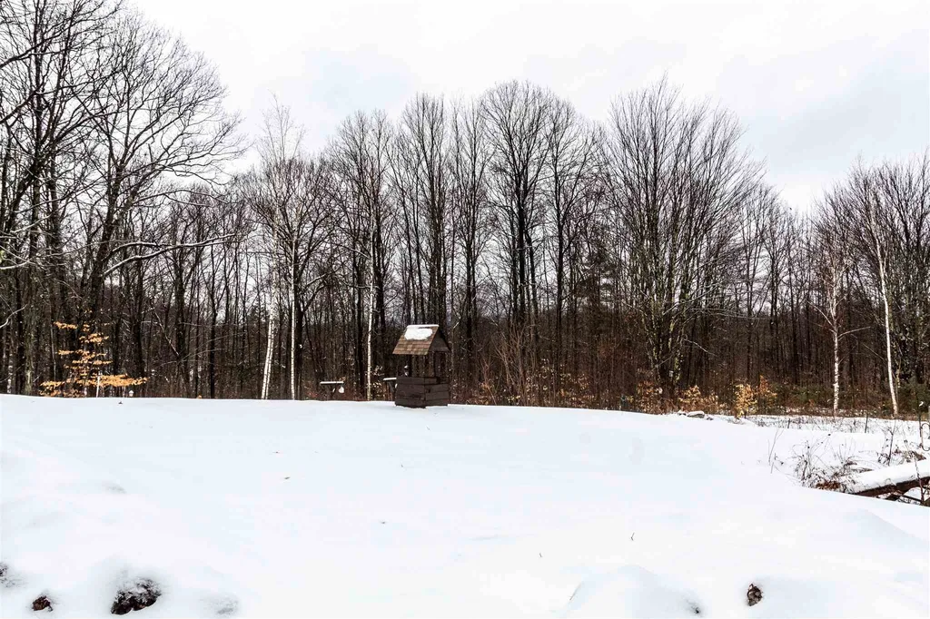 79 Ricky Nelson Road Strafford NH 03884
