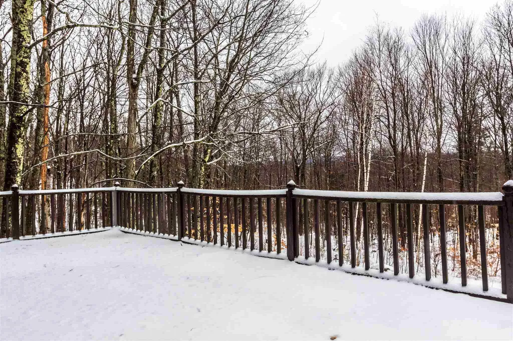 79 Ricky Nelson Road Strafford NH 03884