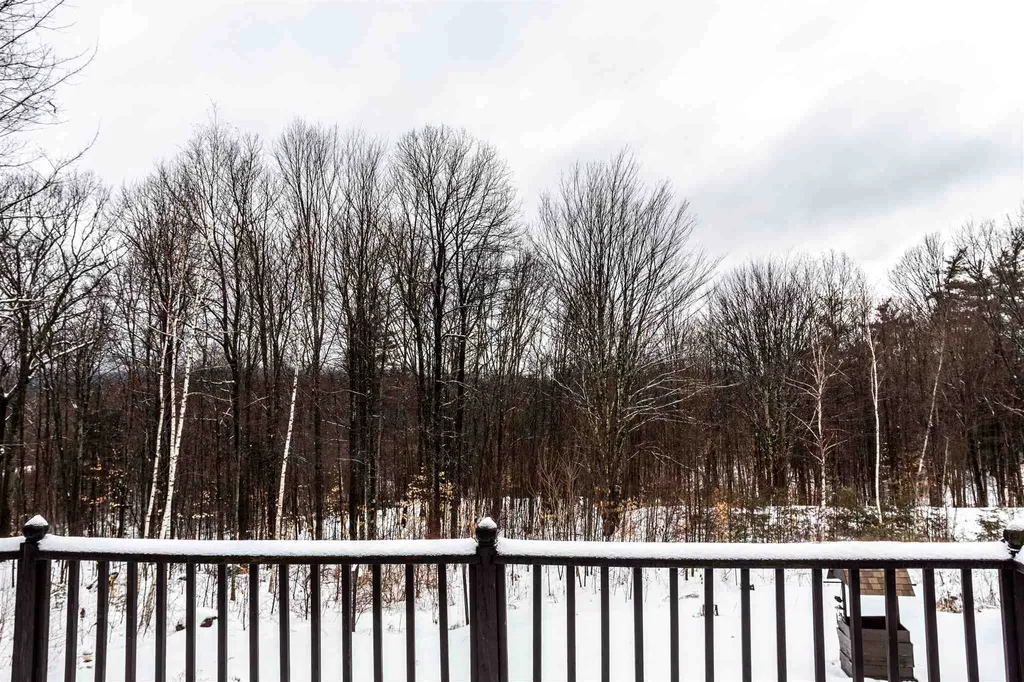 79 Ricky Nelson Road Strafford NH 03884