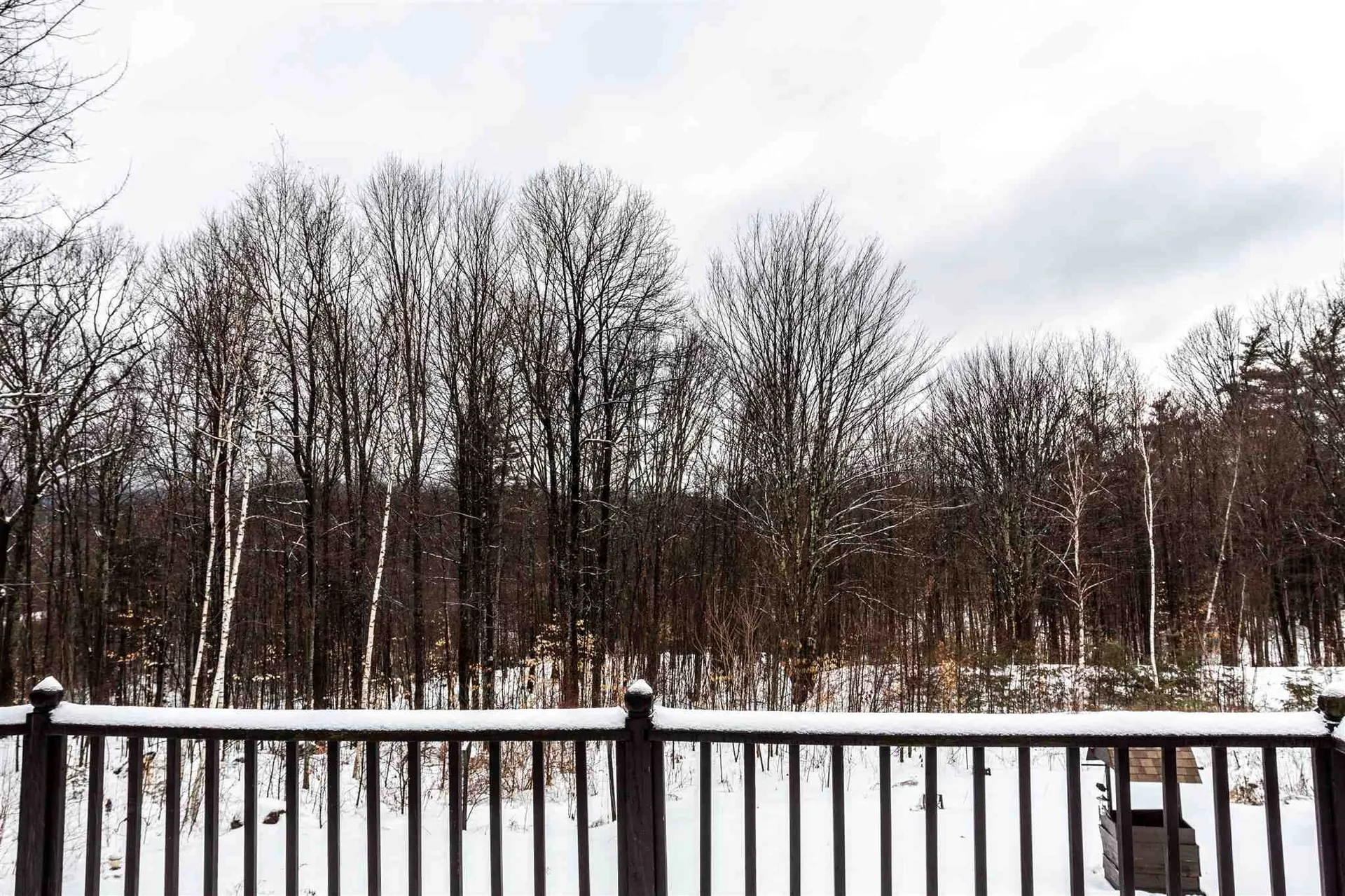 79 Ricky Nelson Road Strafford NH 03884