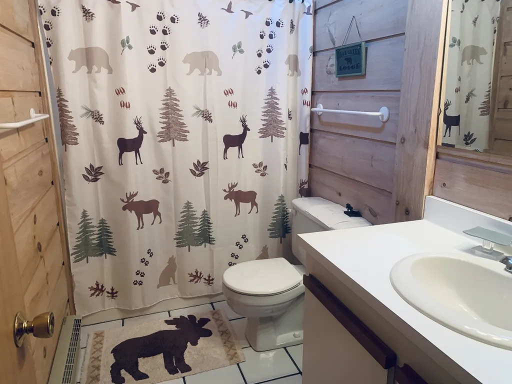 2432 Steeple View Road Manchester VT 05255