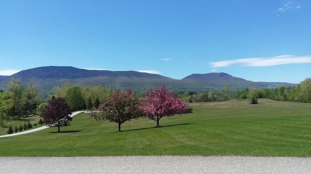 2432 Steeple View Road Manchester VT 05255