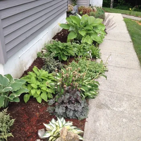 90 Barry Highlands Road Danbury NH 03230