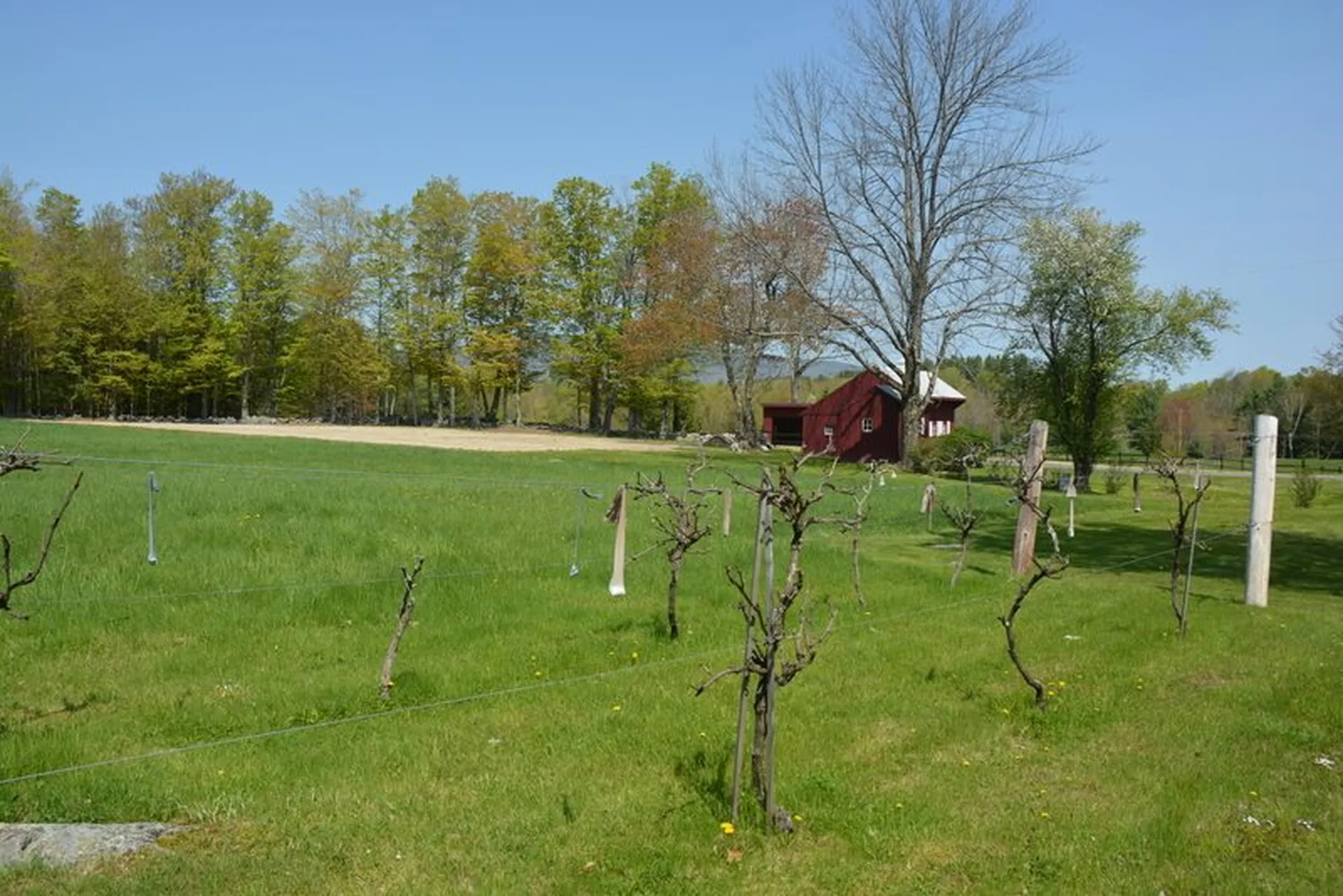 46 Highland Avenue Jaffrey NH 03452