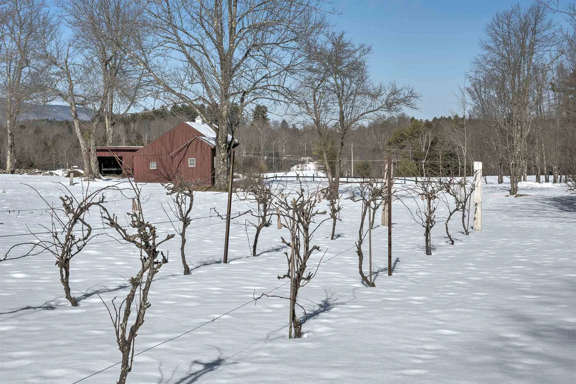 46 Highland Avenue Jaffrey NH 03452