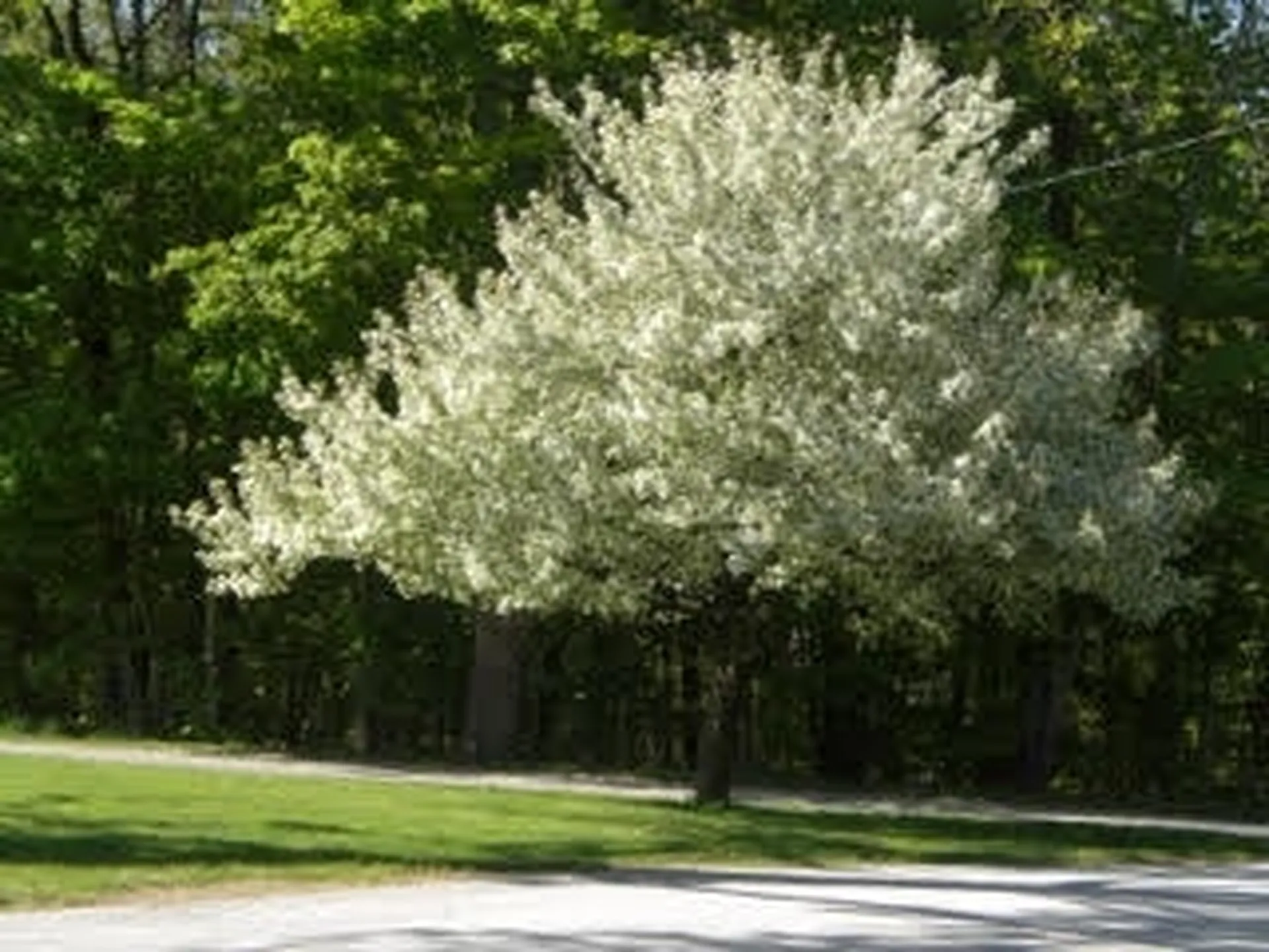 46 Highland Avenue Jaffrey NH 03452