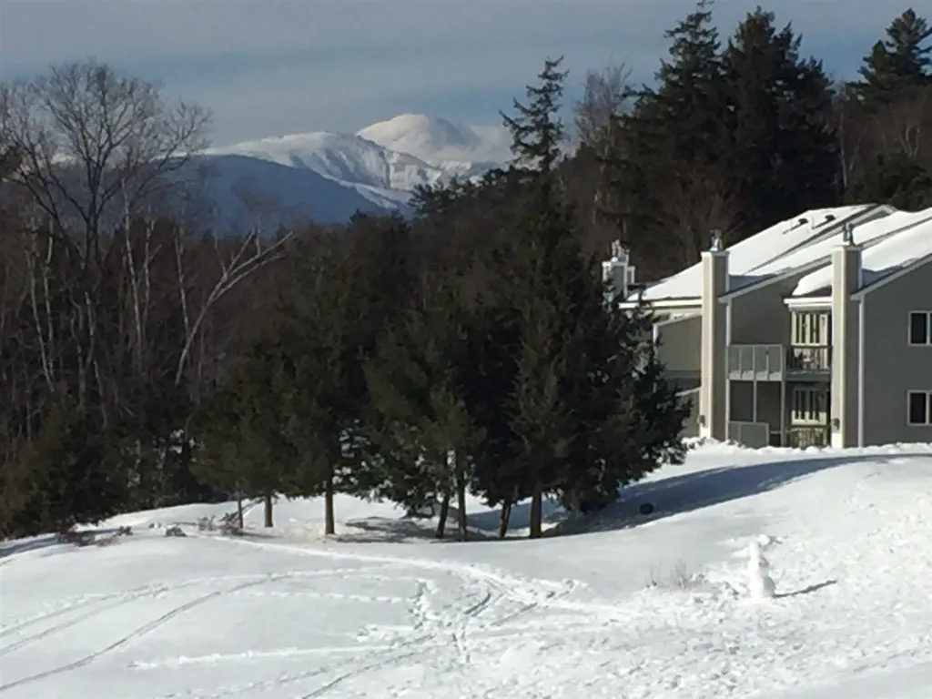 86 Eagle Ridge Condo Road Bartlett NH 03812