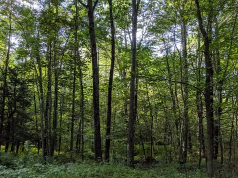 6 Old Mill Road Lee NH 03861