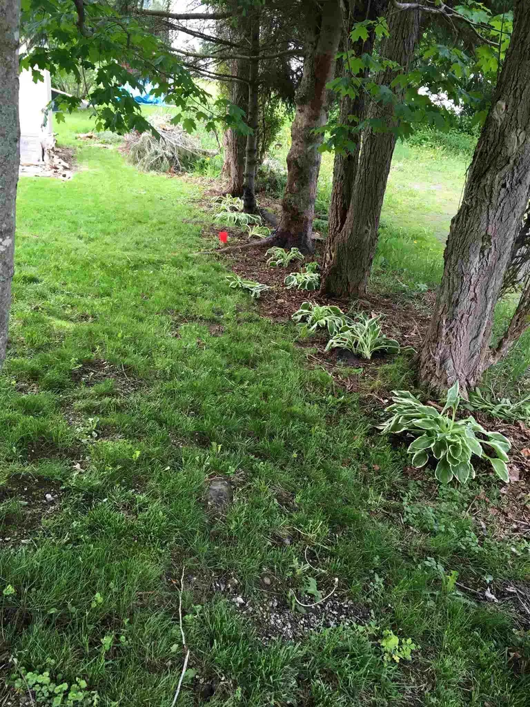 72 Western Avenue Northfield VT 05663