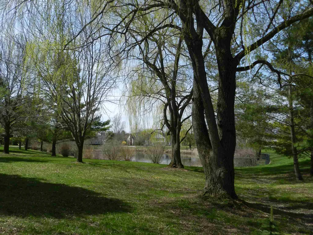33 Twin Circle Middlebury VT 05753