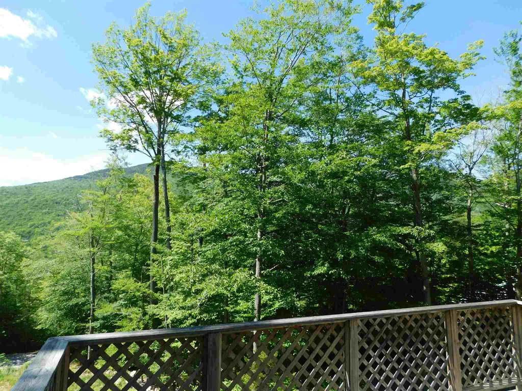6 Wood Court Lincoln NH 03251