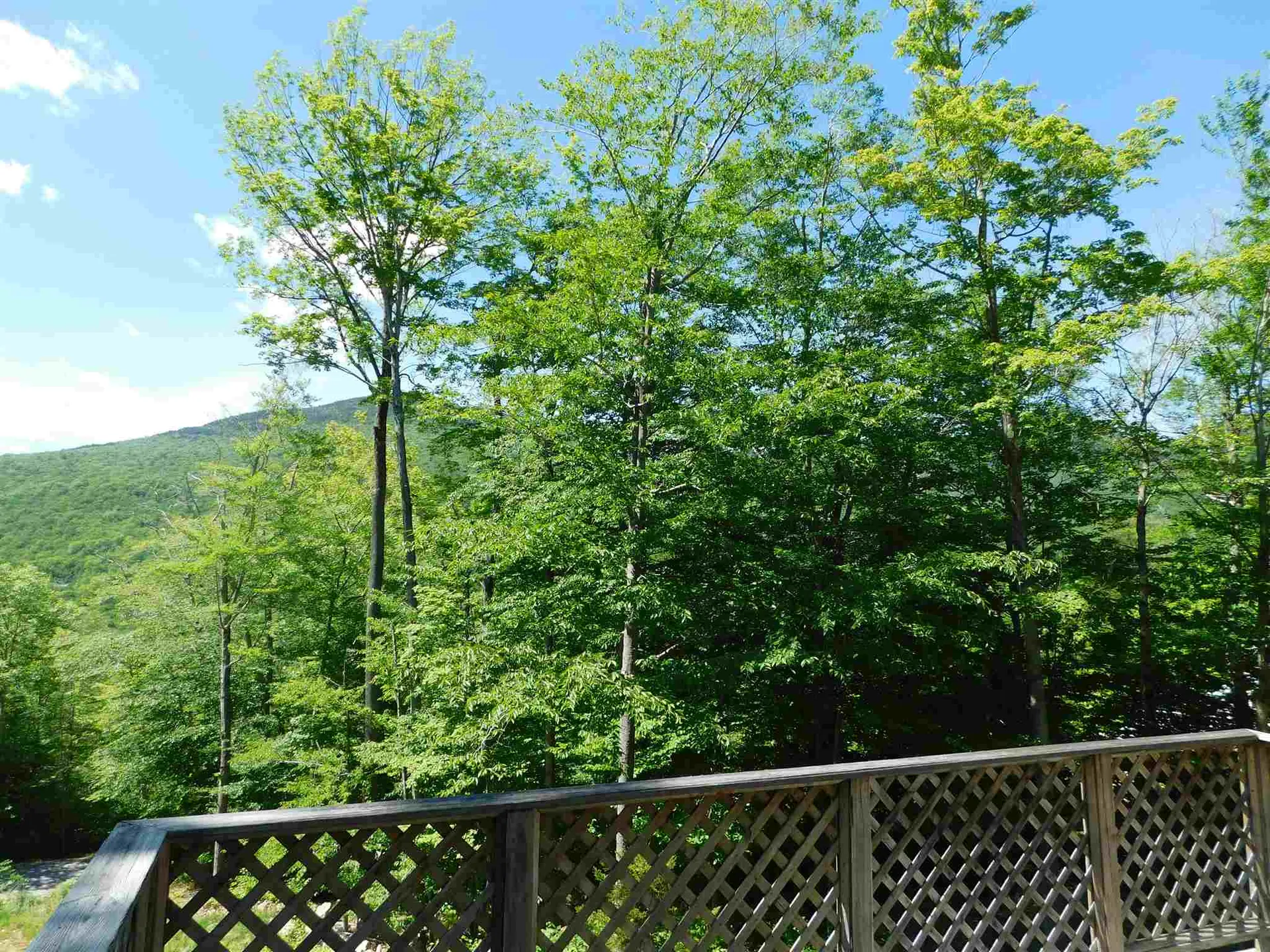 6 Wood Court Lincoln NH 03251