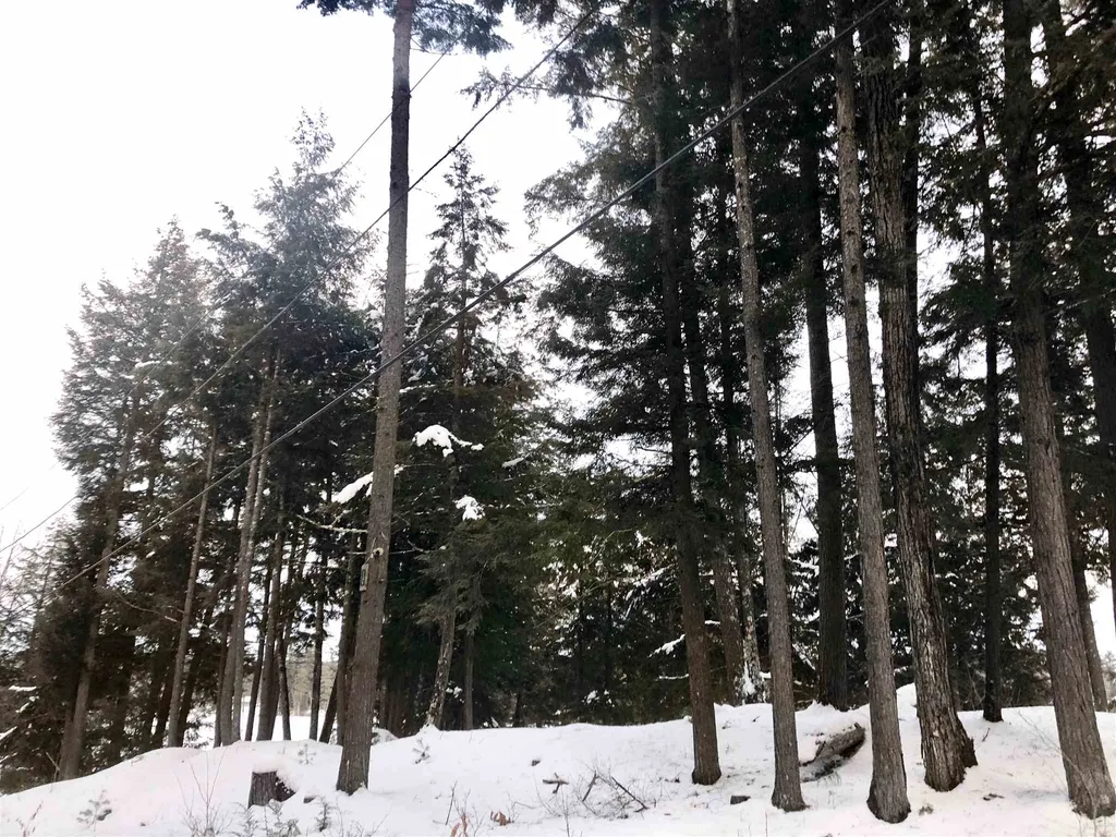1063 Halls Lake Road Newbury VT 05051