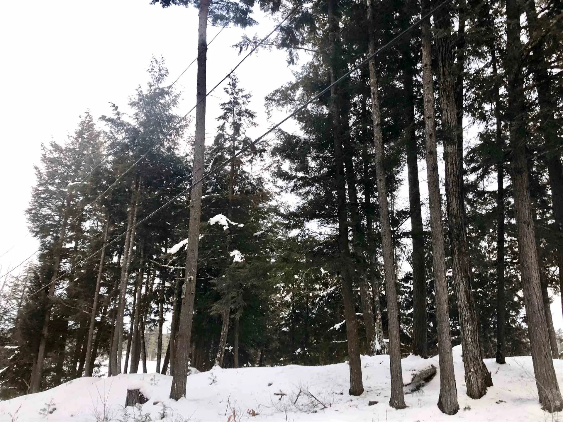 1063 Halls Lake Road Newbury VT 05051