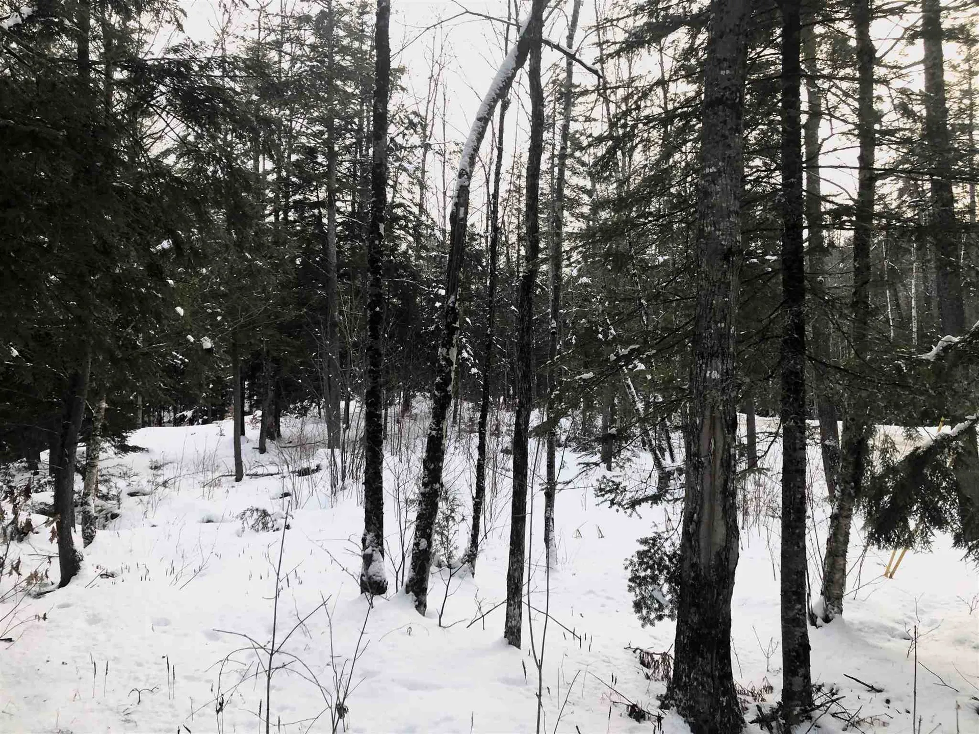 1063 Halls Lake Road Newbury VT 05051